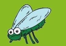 The Little Green Bug